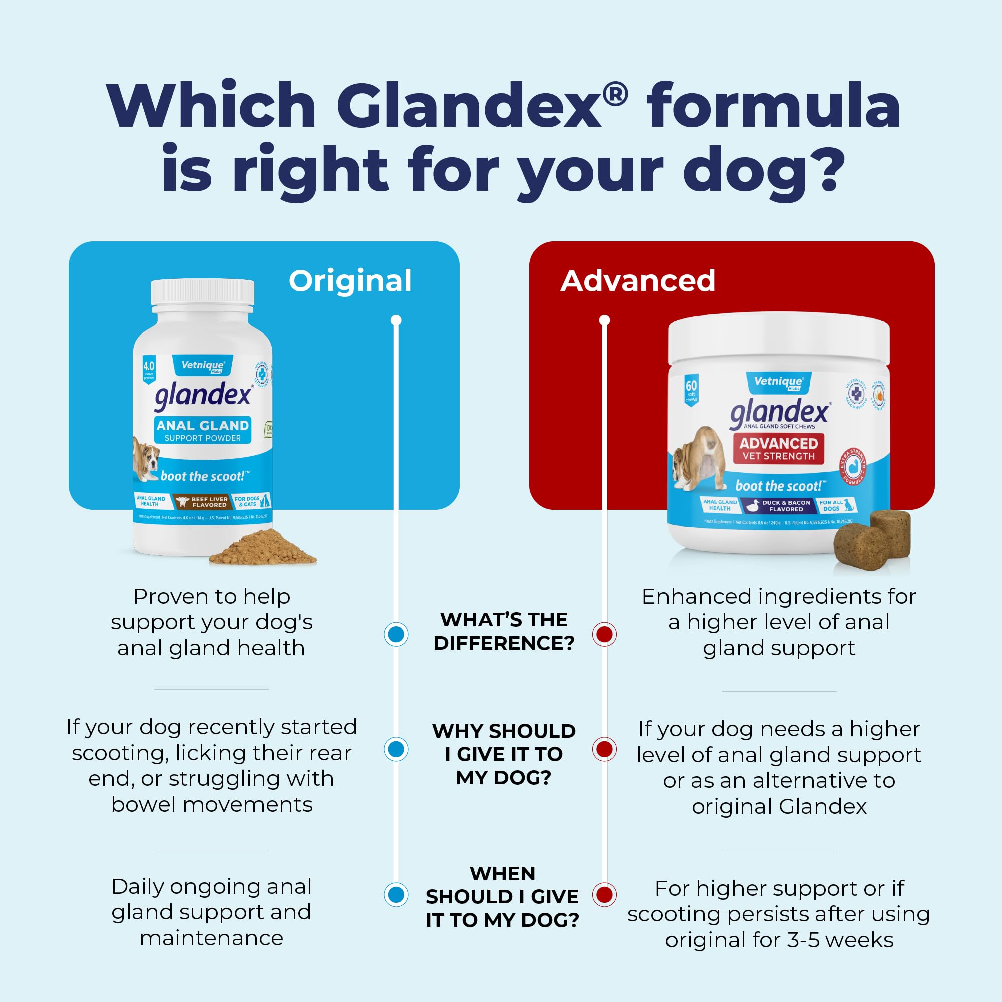 Glandex dog-wellness digestive health scene emphasizes probiotic benefits