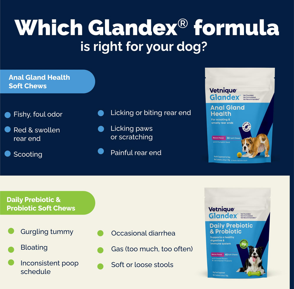 Glandex owners-daily-routine shows pet owners incorporating probiotics into morning routine