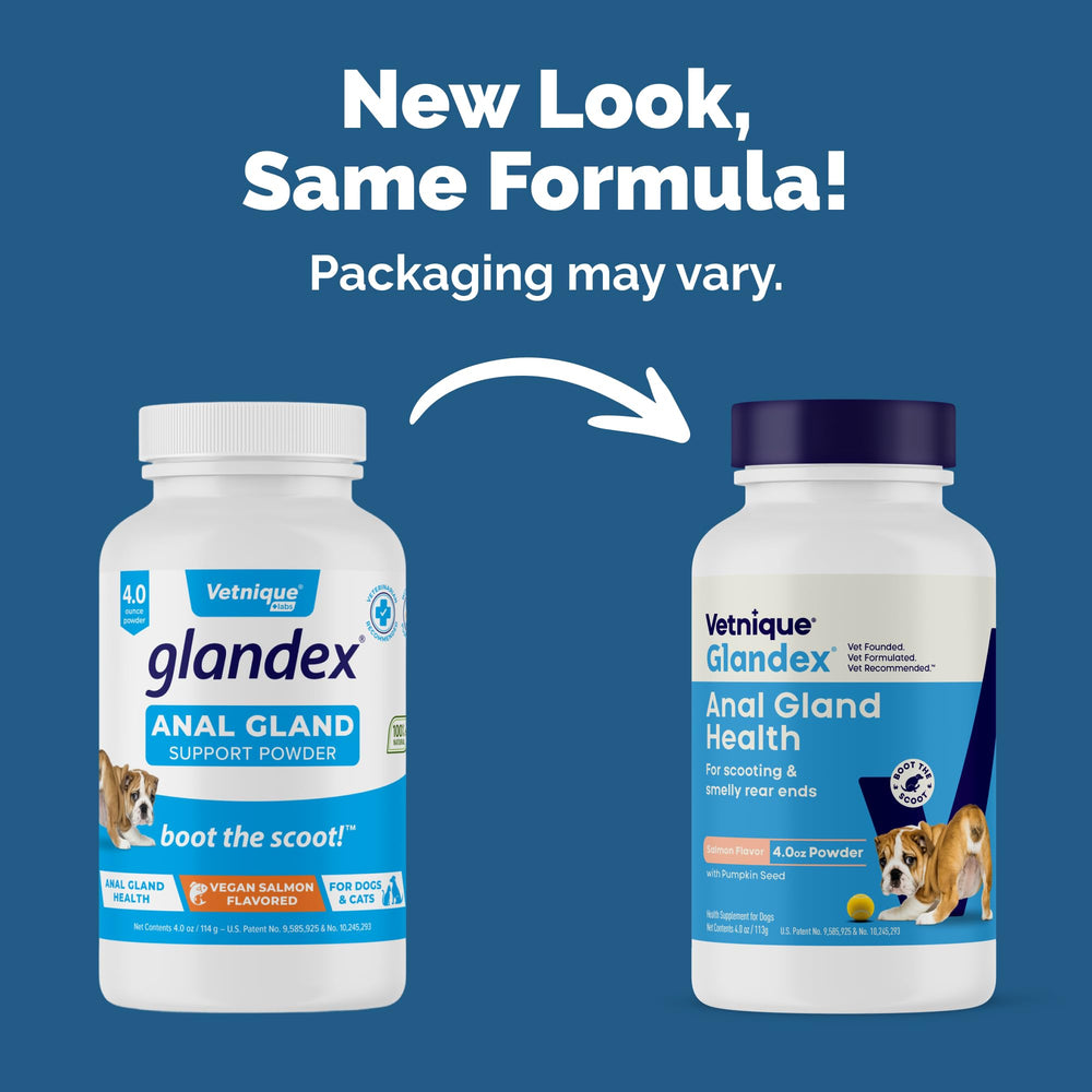 Glandex pumpkin seed illustration highlights digestive support and flavor