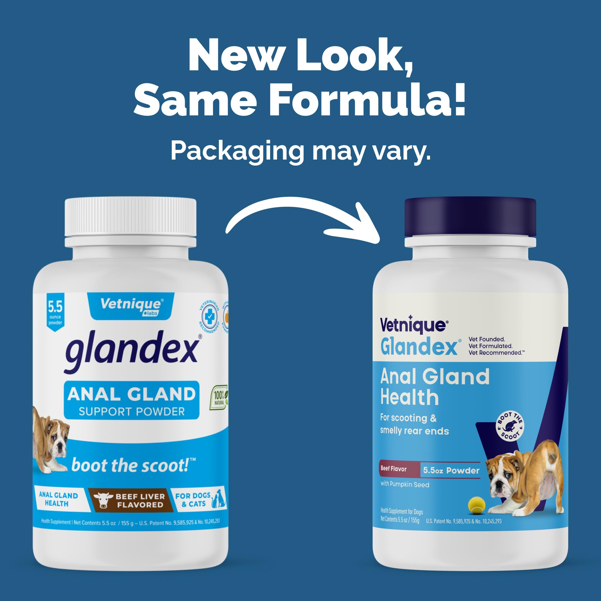 Glandex pumpkin seed ingredient closeup highlighting pumpkin for digestive balance.