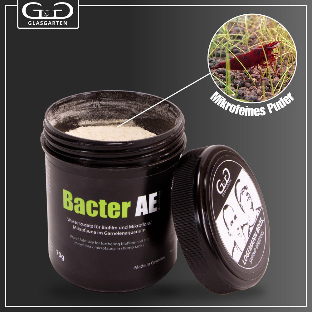 GlasGarten Bacter AE promotes protein-rich biofilm feeding for juvenile shrimp.