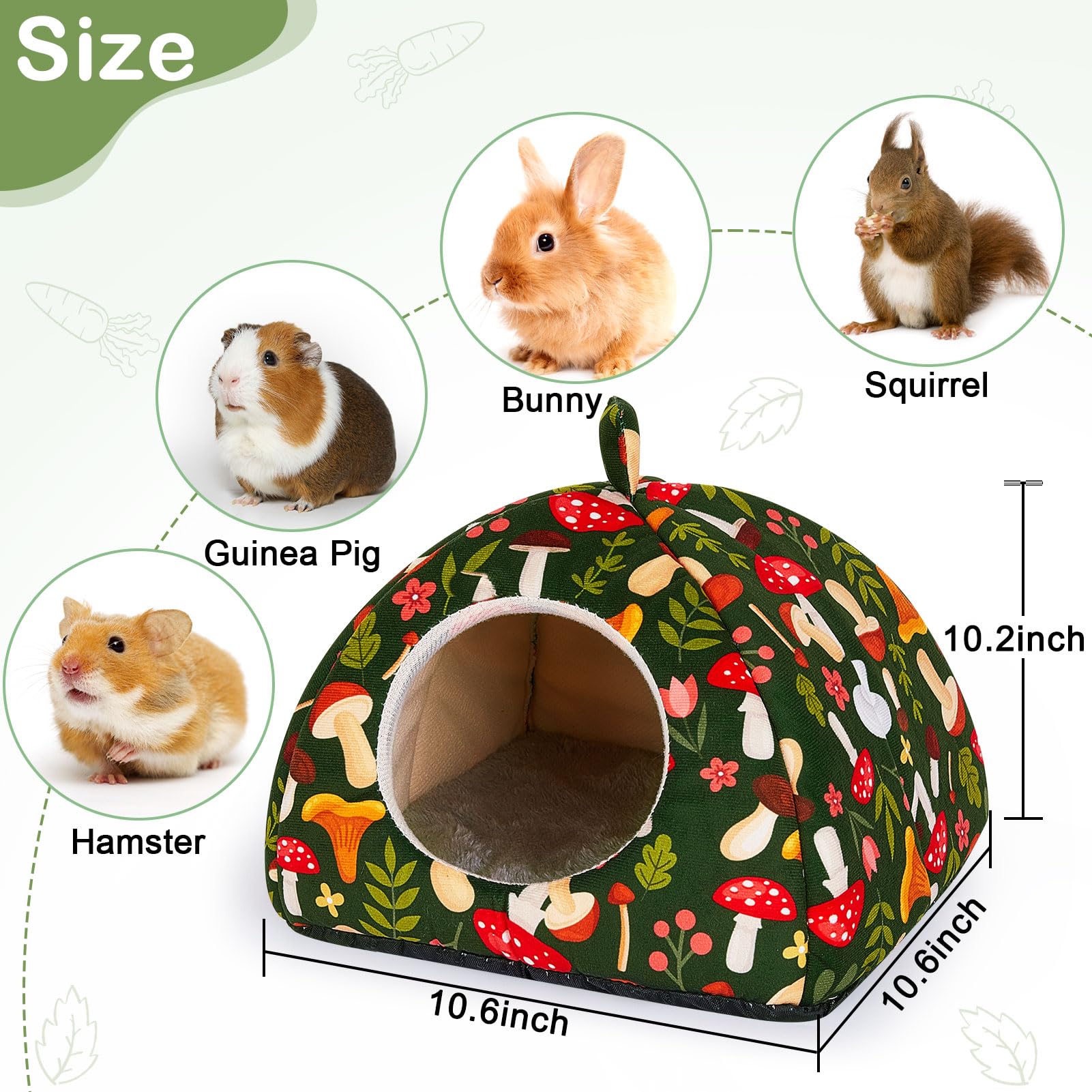Glittme dimension 10-6 inch square hideout fits small pets like hamsters.