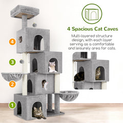 Globlazer four-condo design provides private spaces for several cats