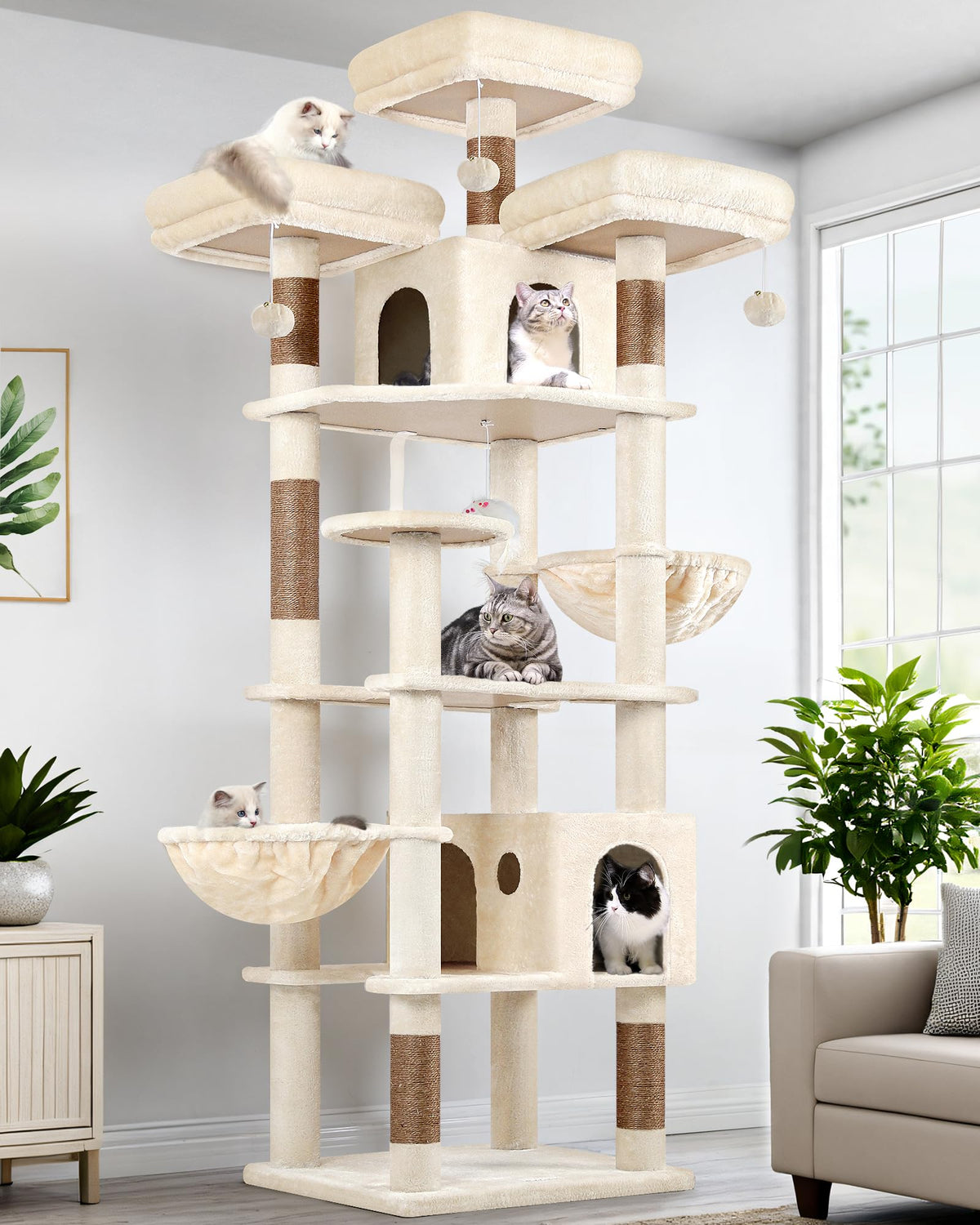Globlazer 82-inch cat tree top perches for sunny cat watching and lounging