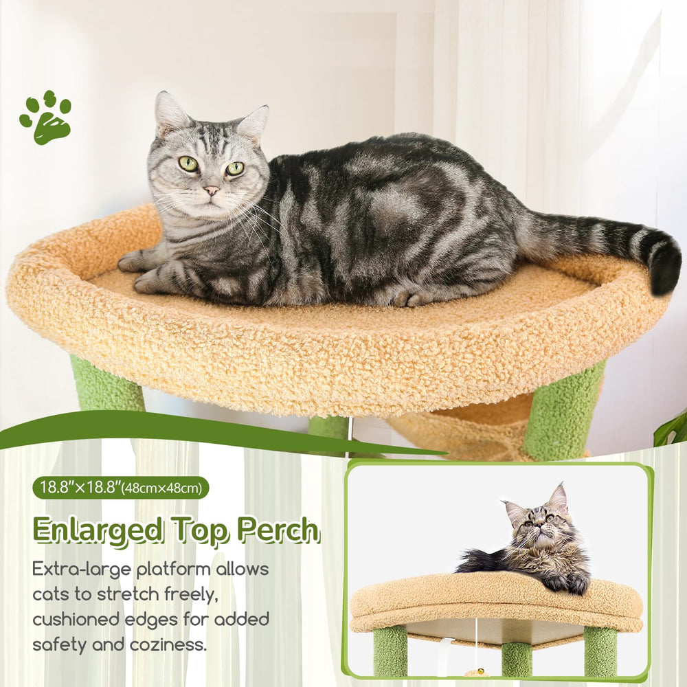 Globlazer cactus cat tree dual condos with wide openings for ventilation