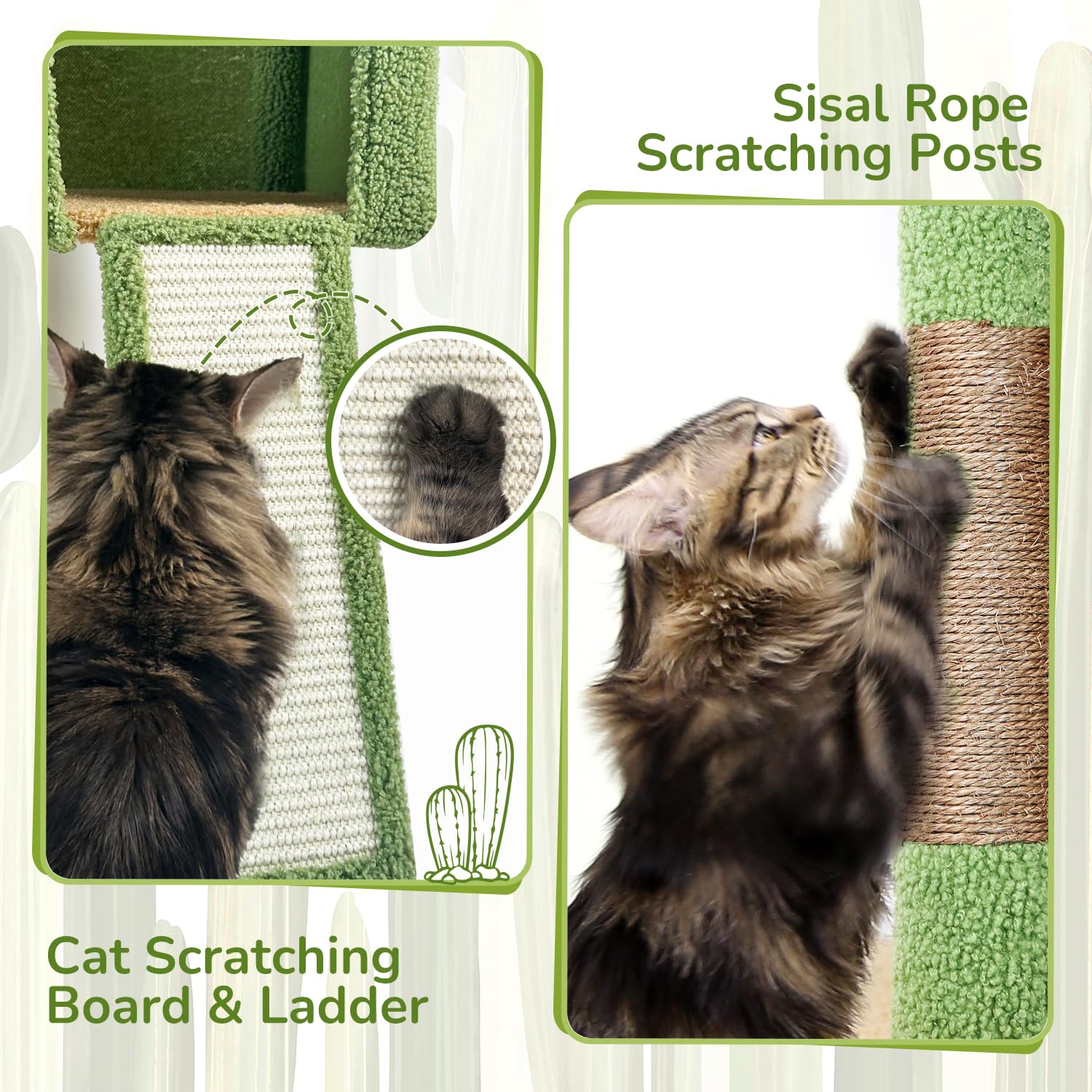 Globlazer cactus cat tree tower top perch—high vantage point for observation