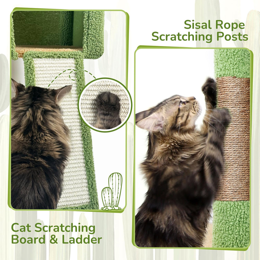 Globlazer cactus cat tree tower top perch—high vantage point for observation