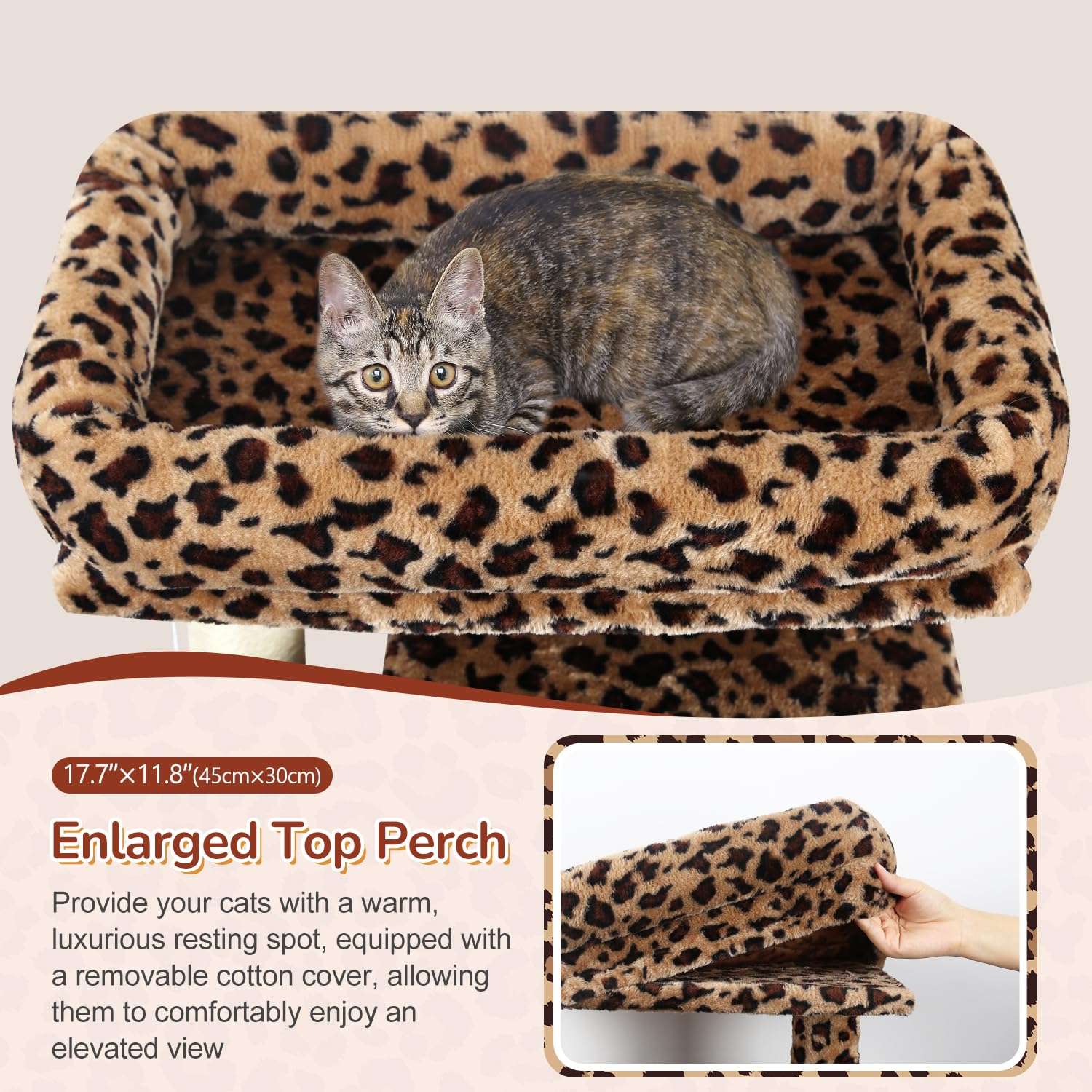 Enlarged hammock on Globlazer cat tree provides a spacious lounging area