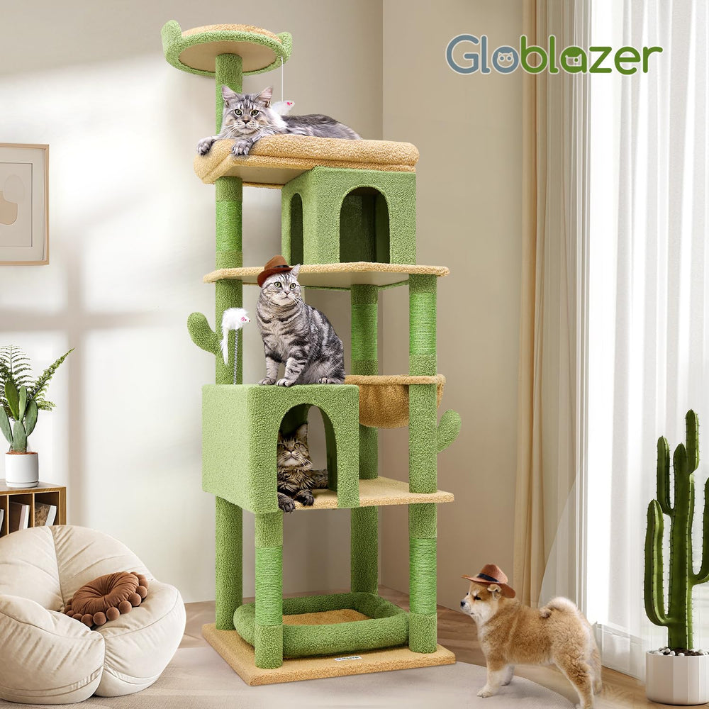 Globlazer cat tree room setup with large cat demonstrates scale and space.