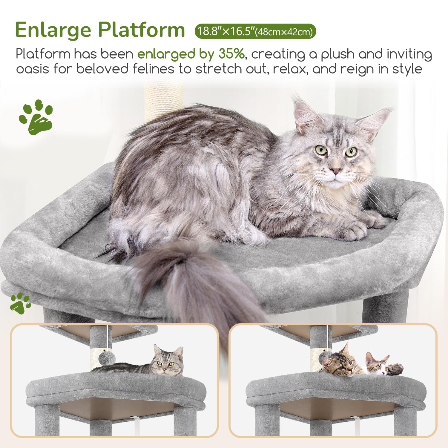 Globlazer Extra Large Platform Cat Tree hammock and condo provide quiet resting spaces.