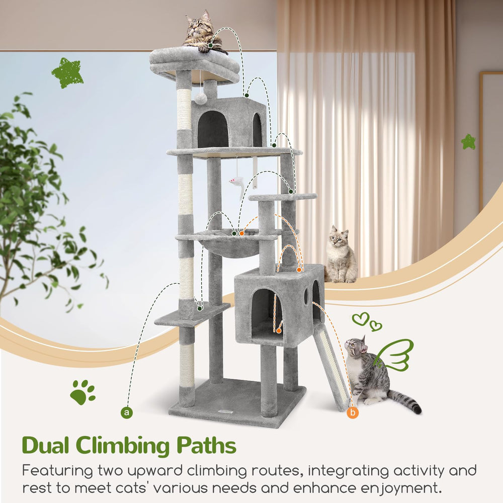 Globlazer F70 Pro dual paths show varied climbing routes for activity.