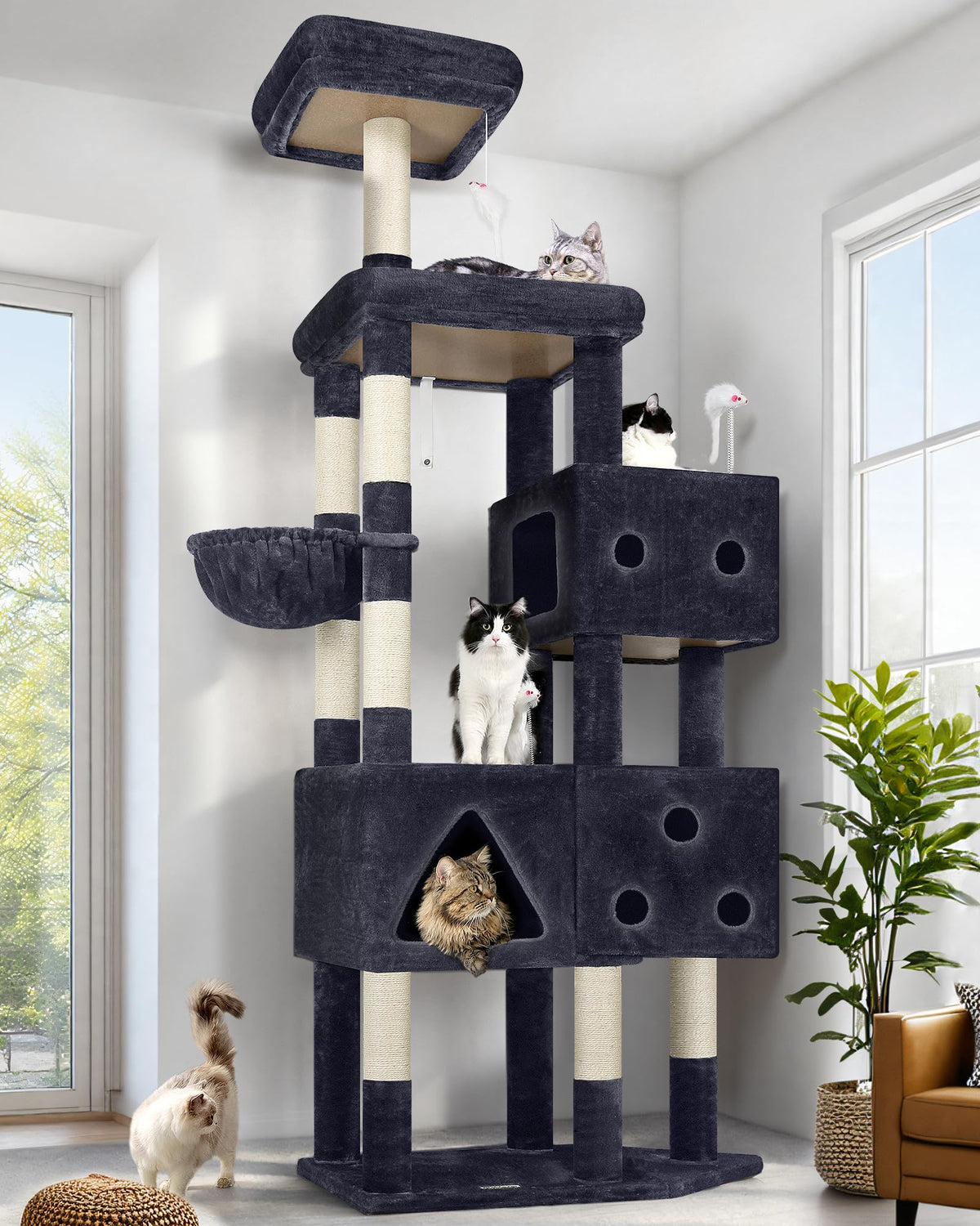Globlazer F81 cat tower showing its 81-inch height for big cats, durable design for exercise