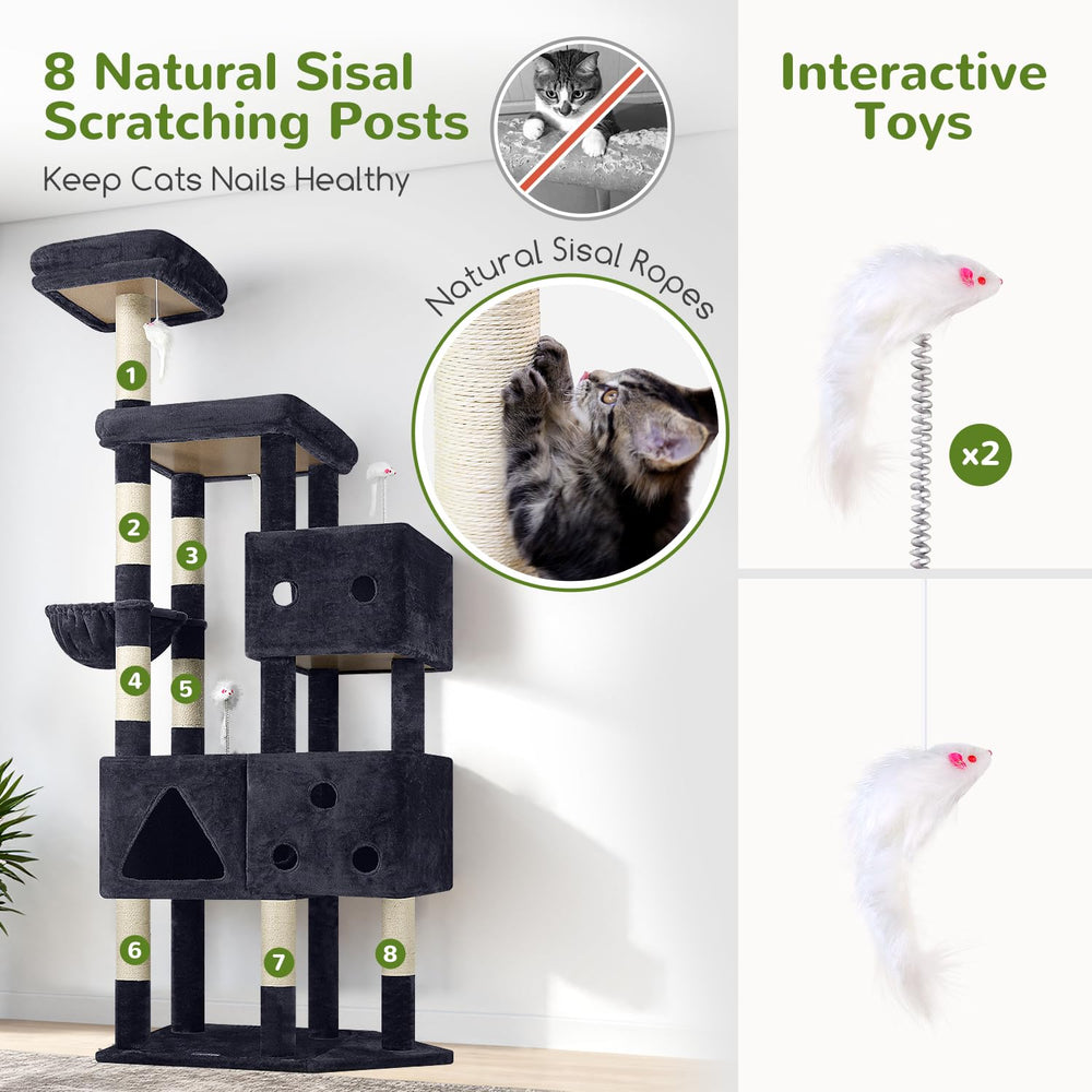 Globlazer F81 indoor big cat use suitable for large adult cats up to 20 lbs