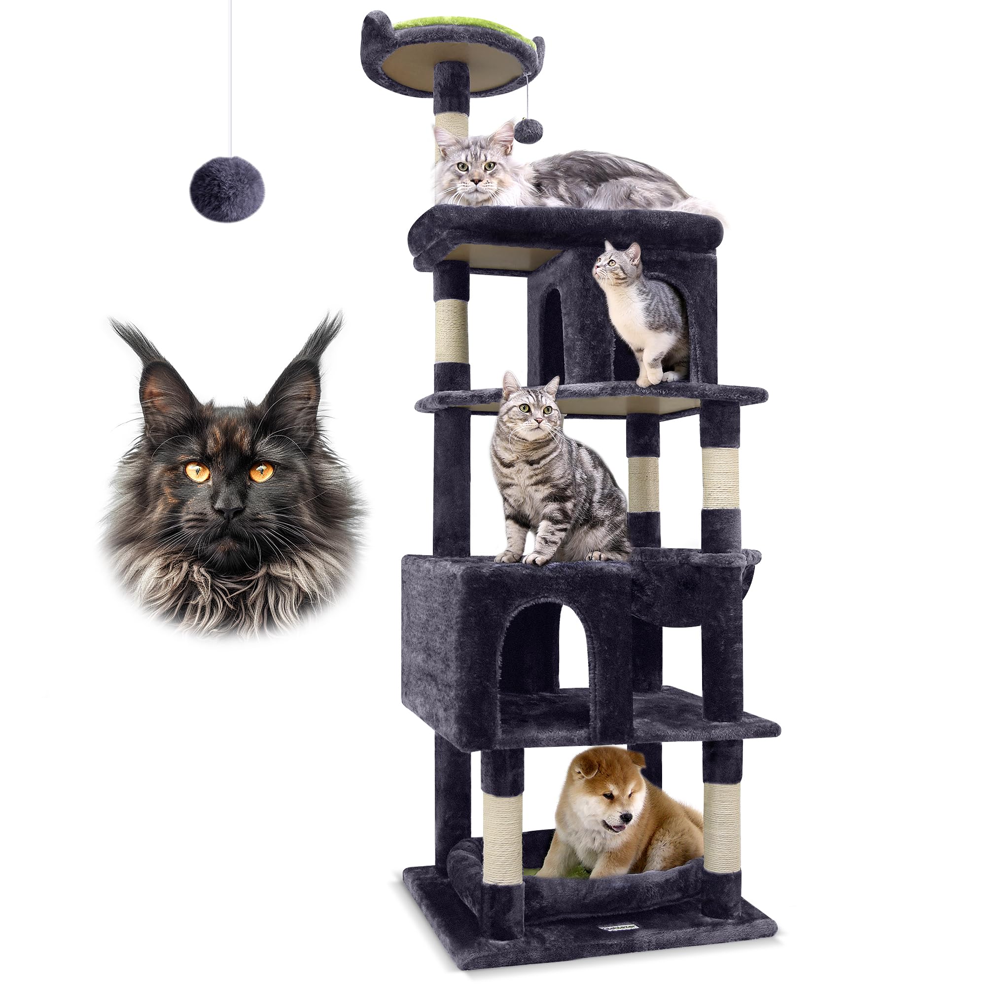 Globlazer heavy-duty cat tree base stabilizes tall climbs for large cats.