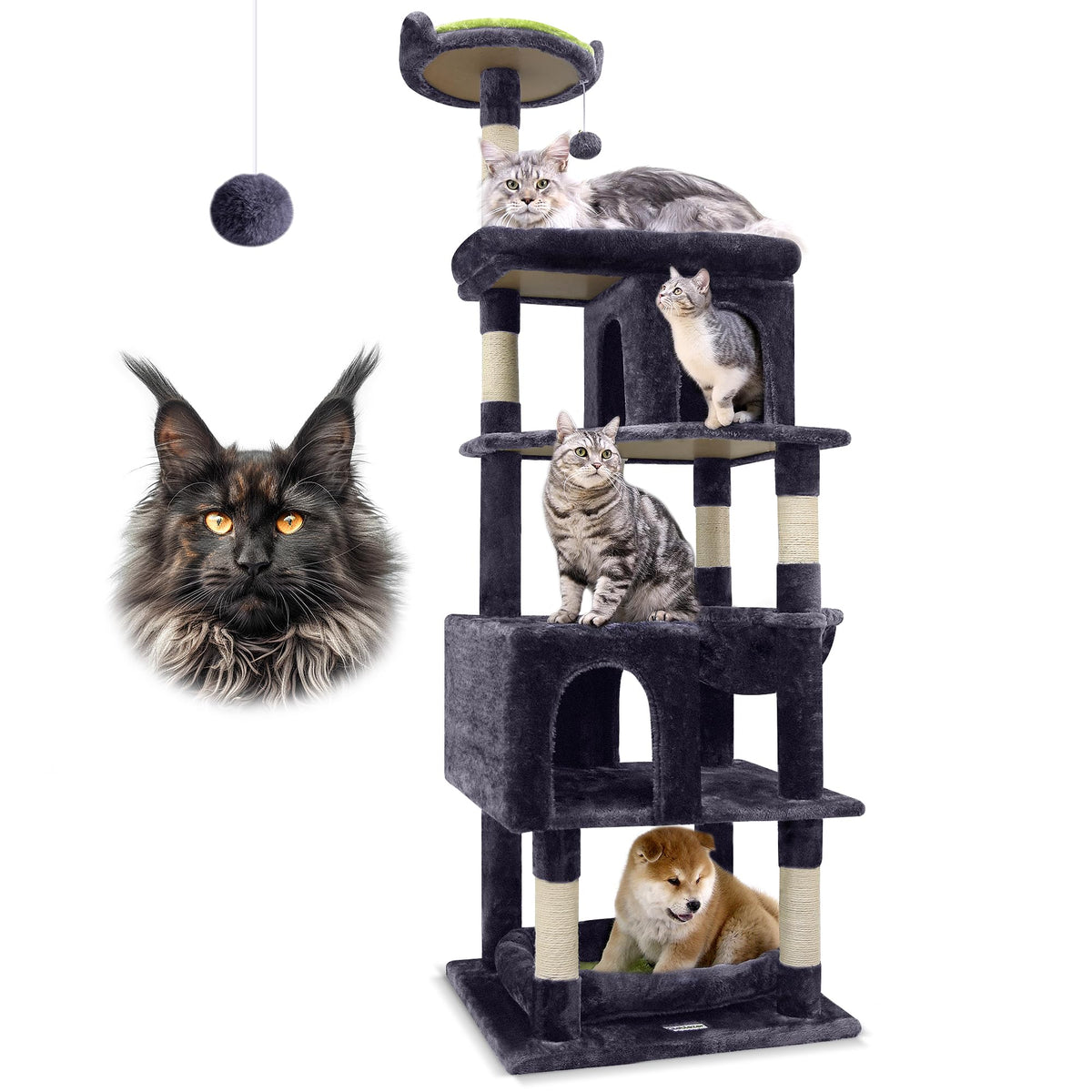Globlazer heavy-duty cat tree base stabilizes tall climbs for large cats.