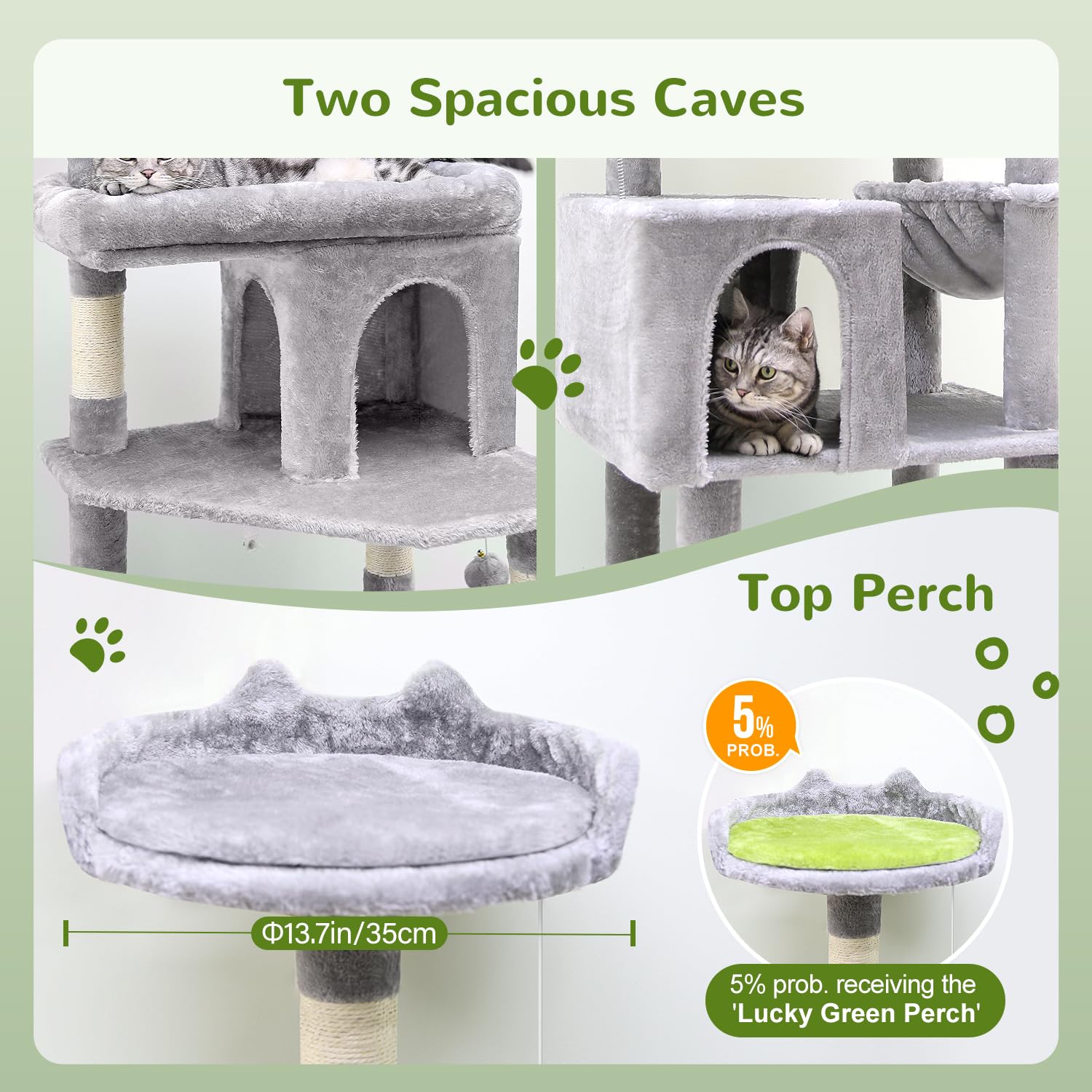 Globlazer heavy duty cat tree dual condos offer private retreats.