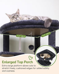 Globlazer cat tree enlarged top perch provides elevated view for curious cats