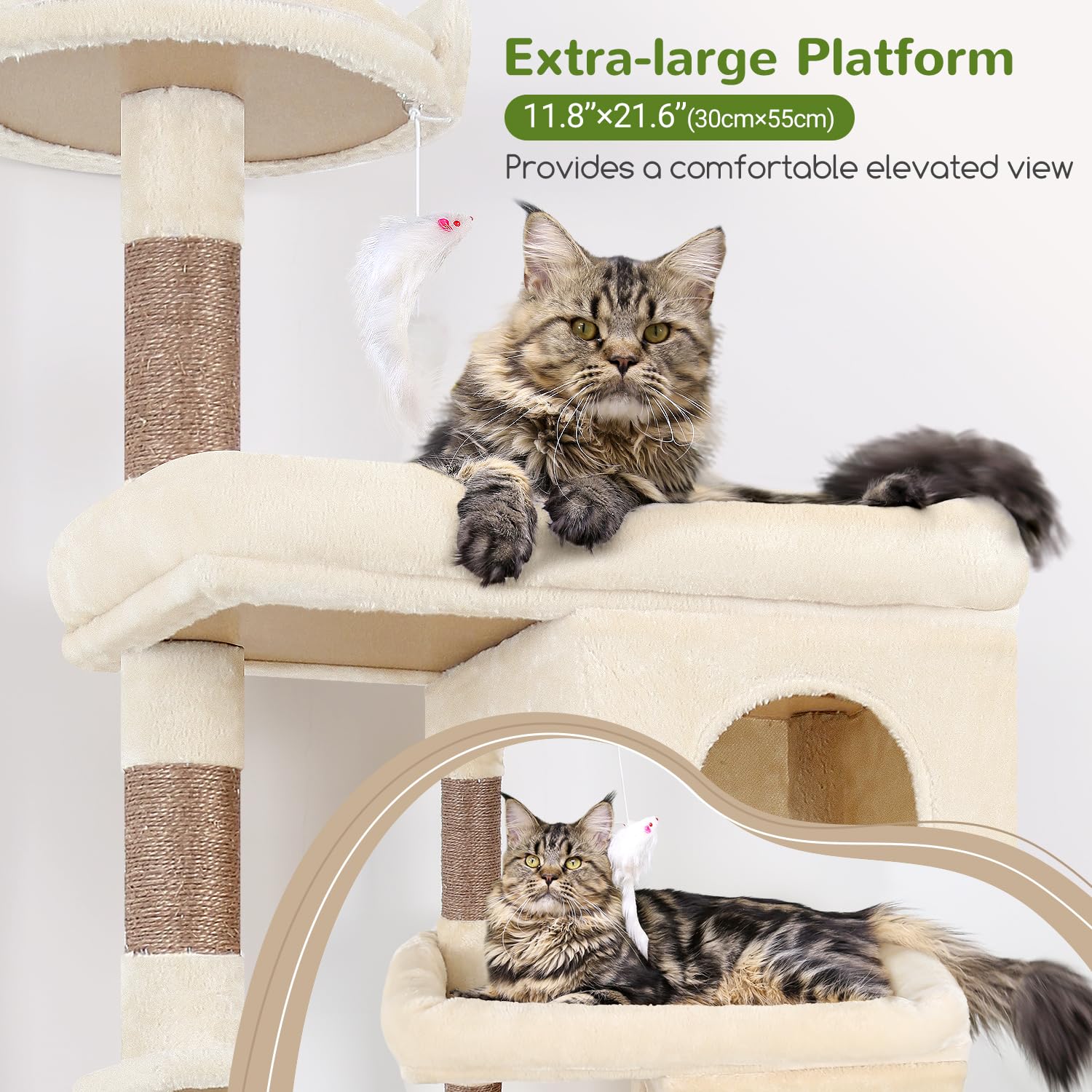 Globlazer oversized platform 21.7x11.8 inches offers spacious rest