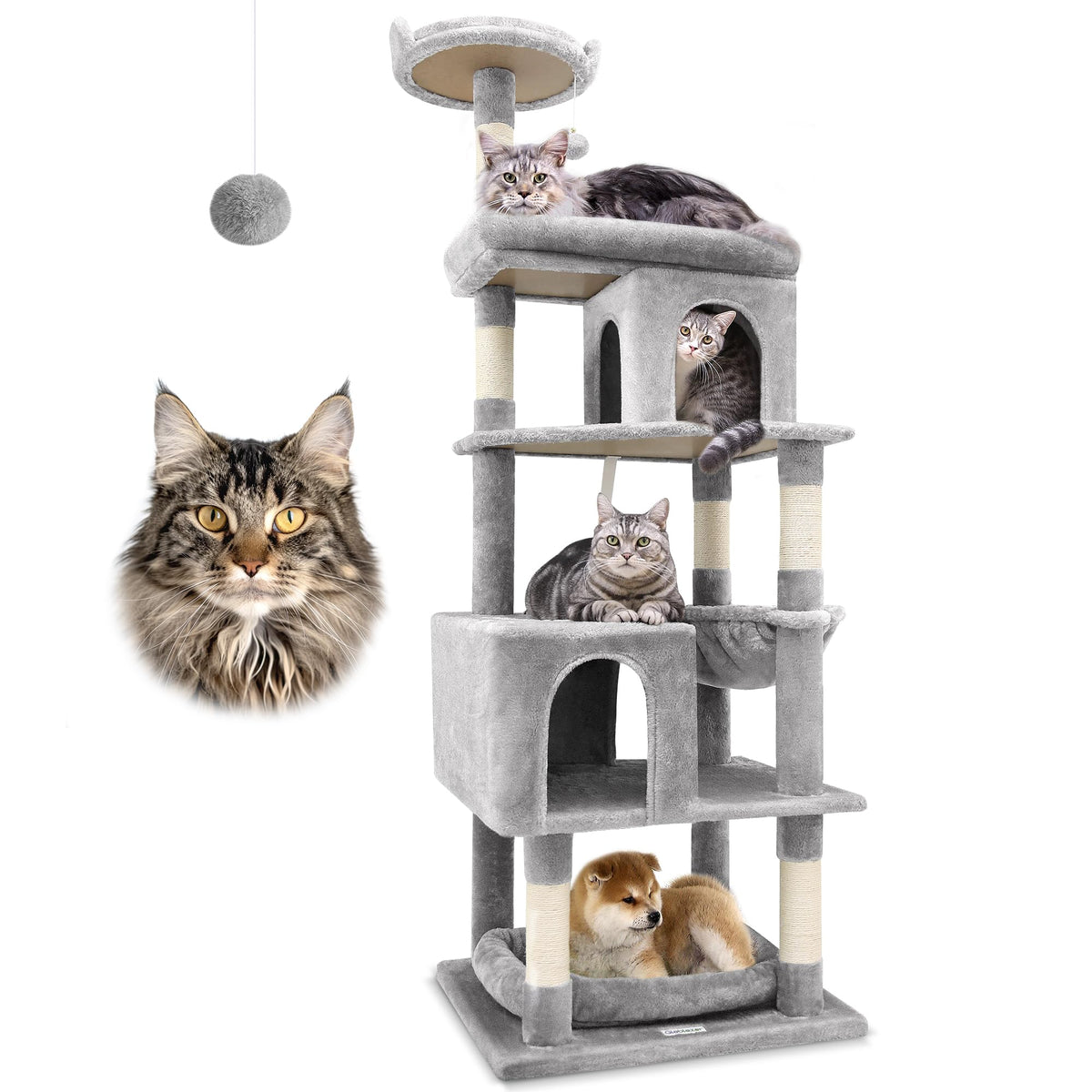 Globlazer heavy duty cat tree top-view shows stable triangle frame for big cats.