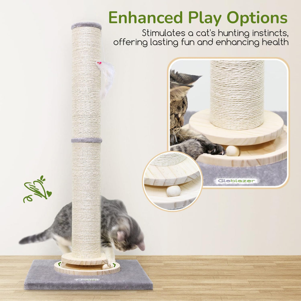 Globlazer interactive toy mouse adds enrichment during playtime.