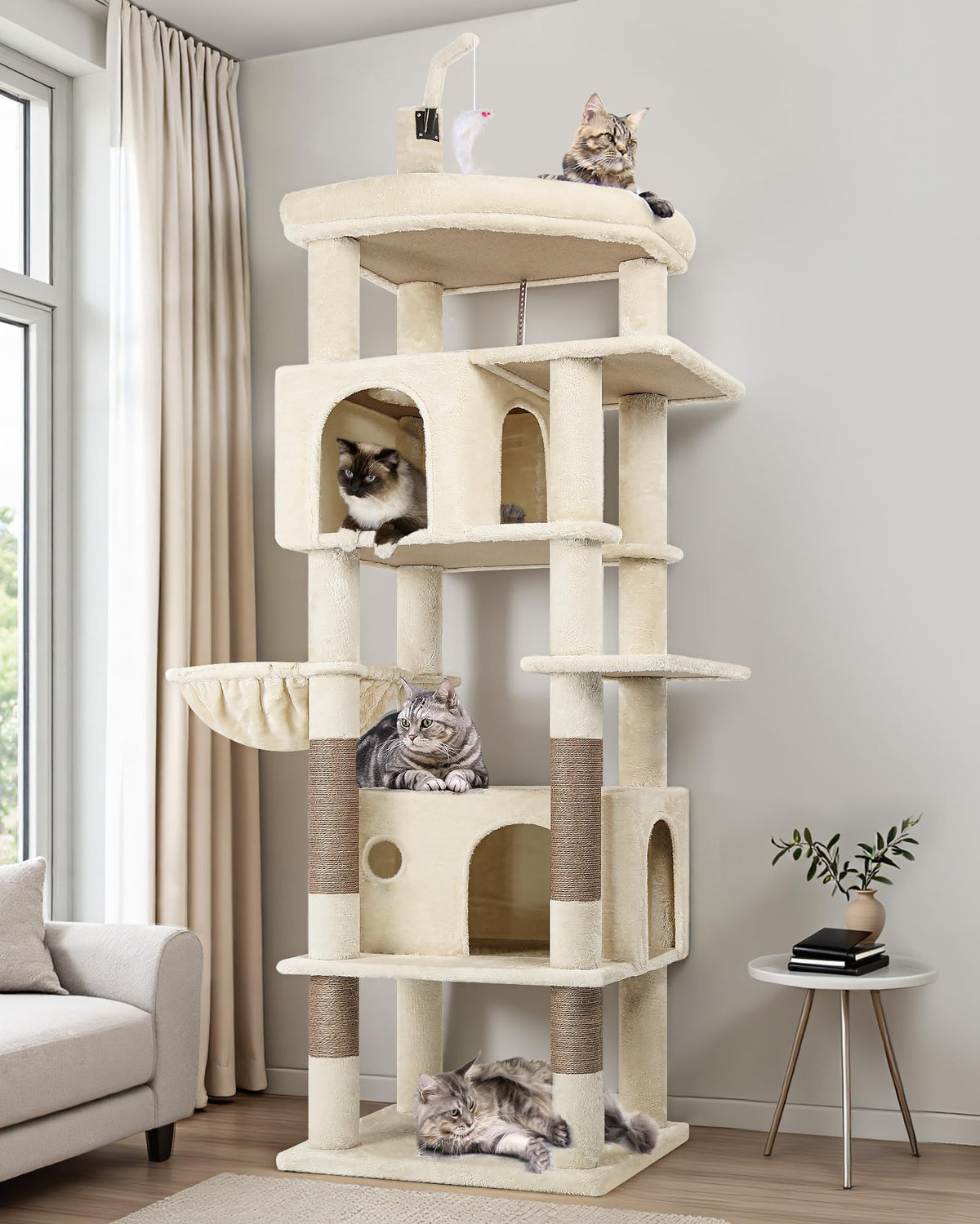 Globlazer Large Cat Tree top perch with raised edges for a secure resting spot