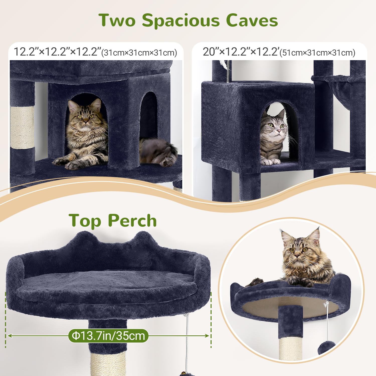 Globlazer oversized padded platform provides roomy, comfy lounging for big cats.