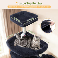 Globlazer S82 two spacious condos offer secure resting spaces for big cats