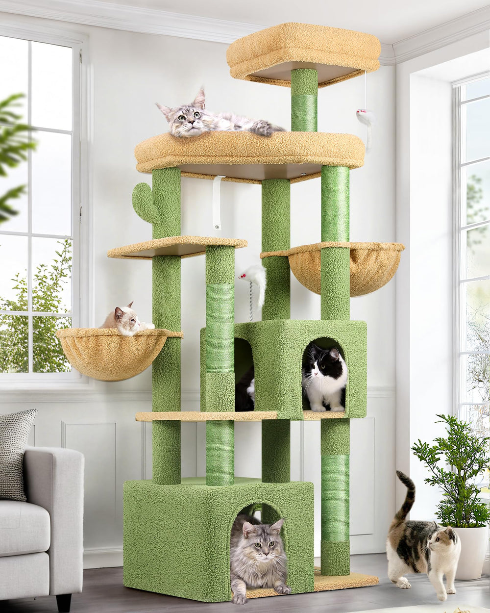 Globlazer Sturdy Cat Tree assembly guide demonstrates quick setup for big cats.