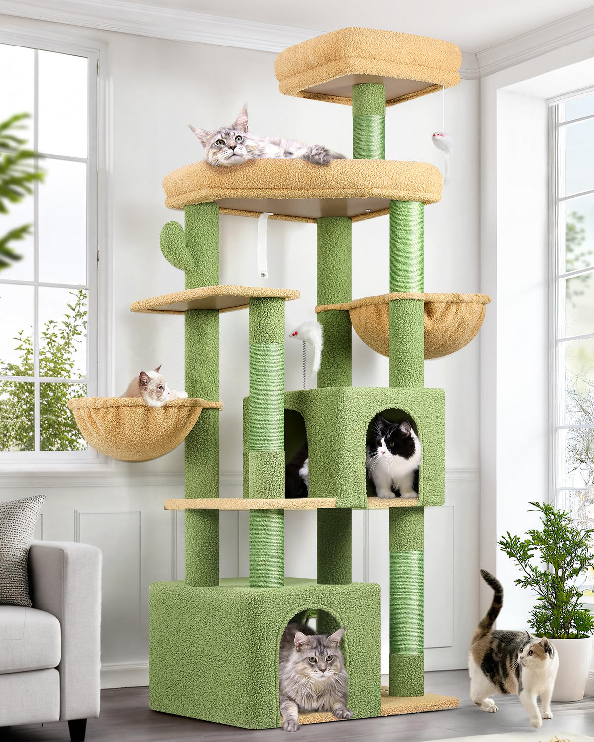 Globlazer Sturdy Cat Tree assembly guide demonstrates quick setup for big cats.