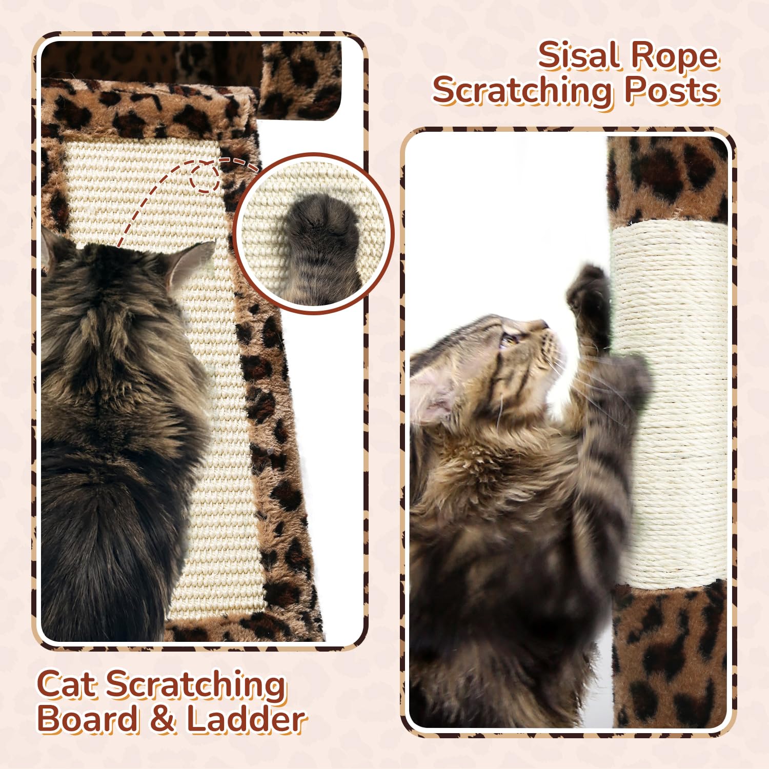 Removable enlarged top perch on Globlazer 70-inch cat tree for easy cleaning