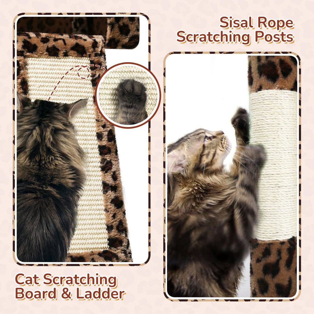Removable enlarged top perch on Globlazer 70-inch cat tree for easy cleaning