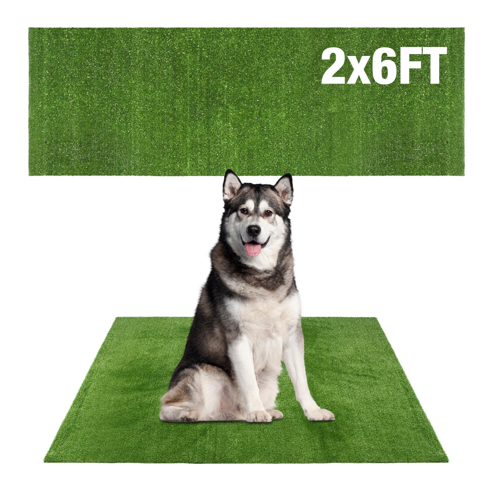 Globreen Grass Pad large 2ft6ft for dog potty training indoors or outdoors.
