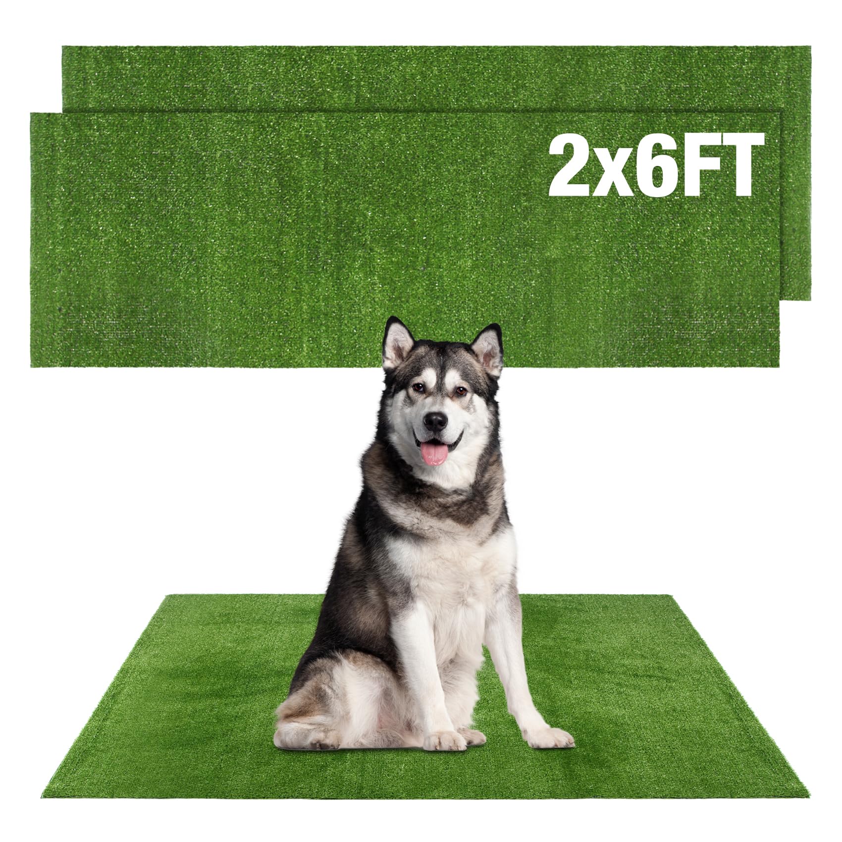 Globreen replacement dog potty turf 2x6ft for easy potty training and quick replacement.