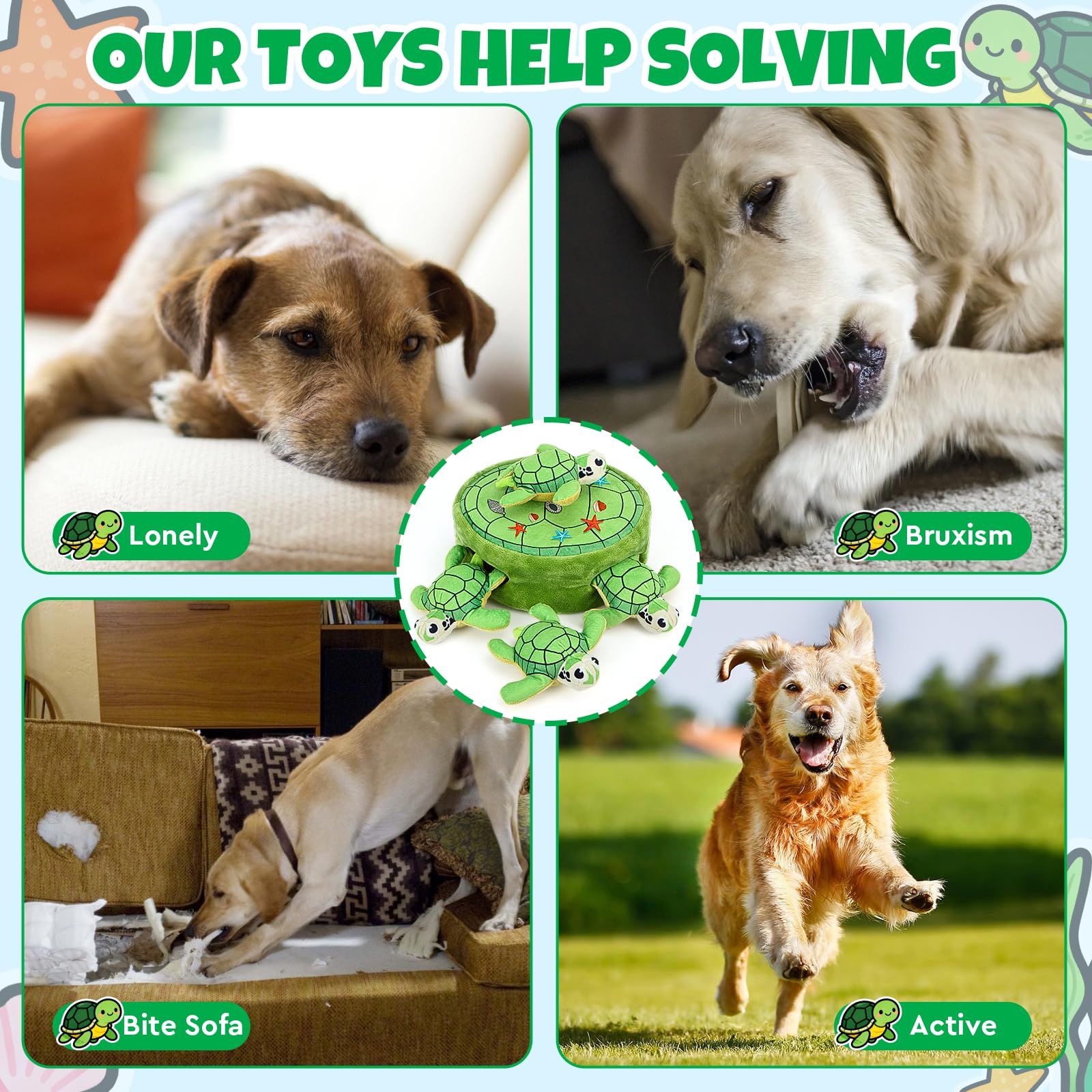 Globright 5-pack packaging display showing value and easy toy rotation.
