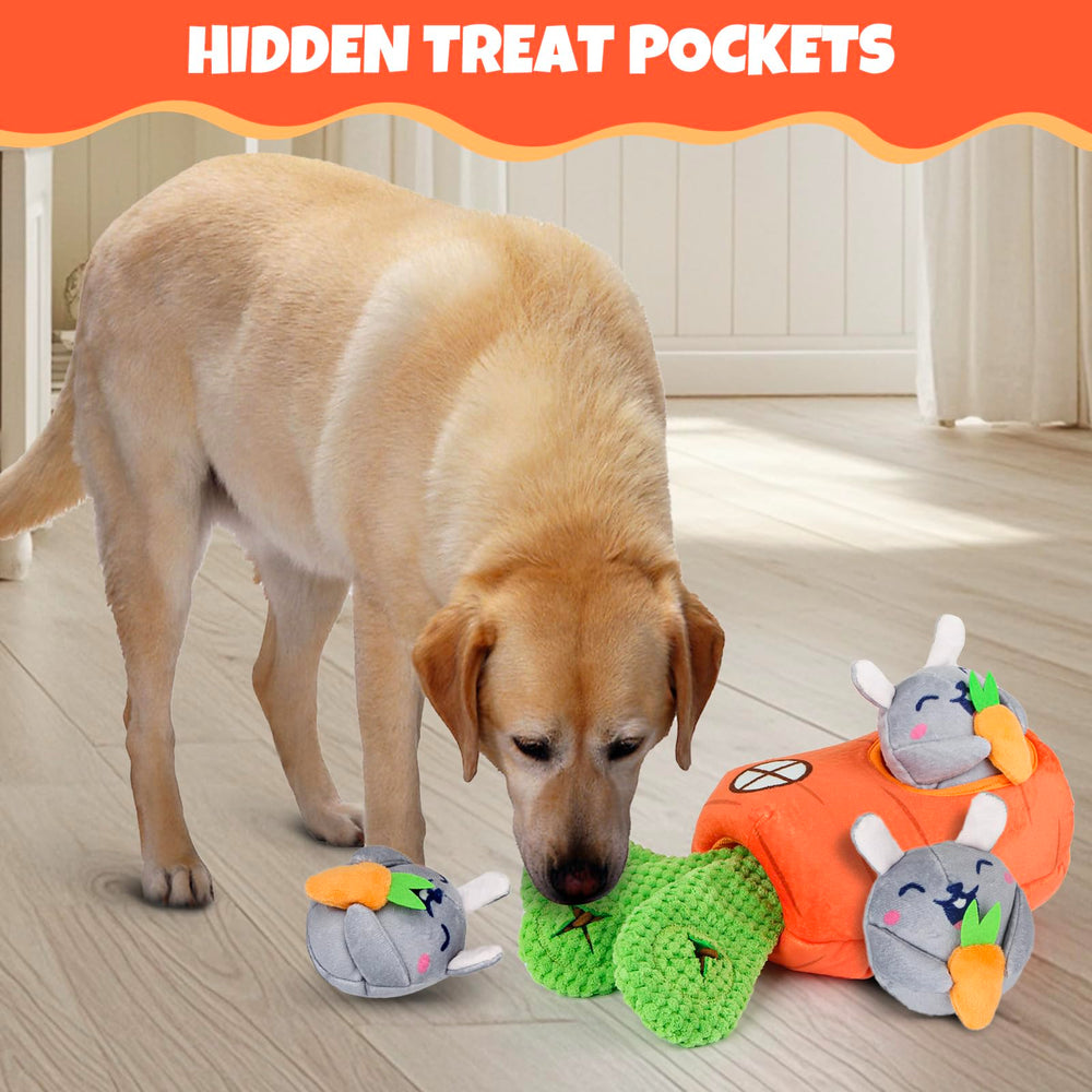 Globright puzzle toy with dental friendly design supports safe chewing during play.