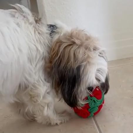 Glory To Dog snuffle ball is machine washable for easy cleanup after adventures.