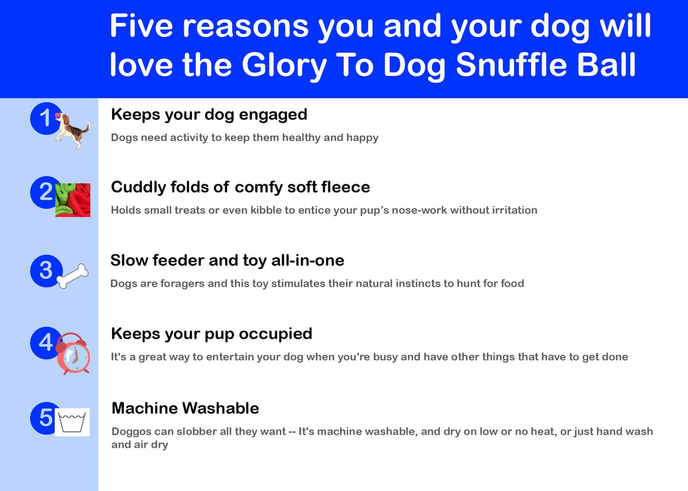 Glory To Dog snuffle ball being tossed invites discovery and rewarding sniffing.