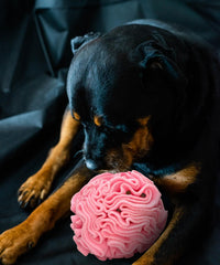 Glory To Dog snuffle ball treats-folds closeup highlights soft fleece and hidden rewards.