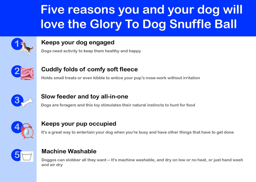 Glory To Dog snuffle ball variable-depth design strengthens problem-solving during enrichment.