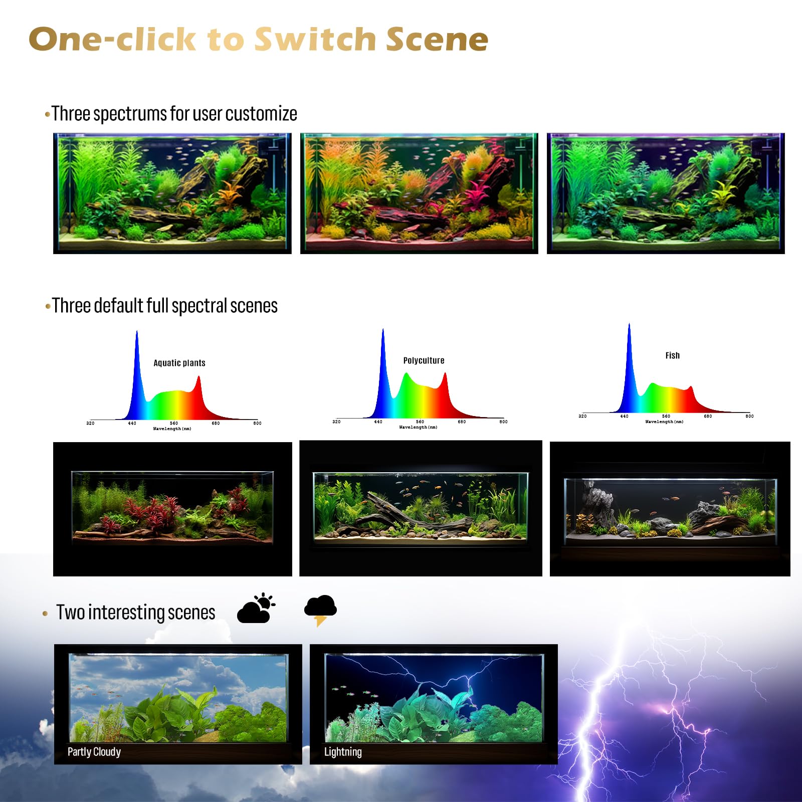 GLOWRIUM DIY spectrum and brightness enable natural habitat simulations.