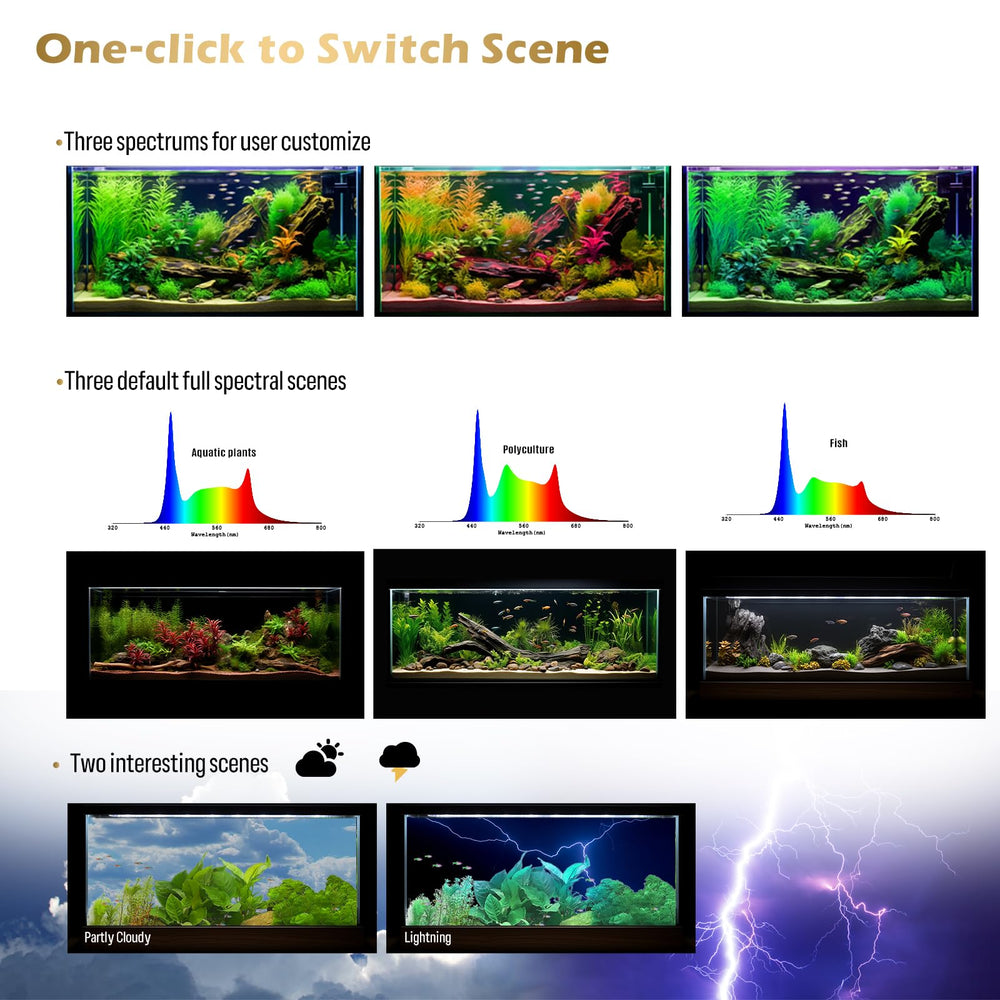 GLOWRIUM DIY spectrum and brightness enable natural habitat simulations.