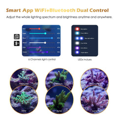 GLOWRIUM saltwater light app-control shows Bluetooth and WiFi access for easy scheduling.