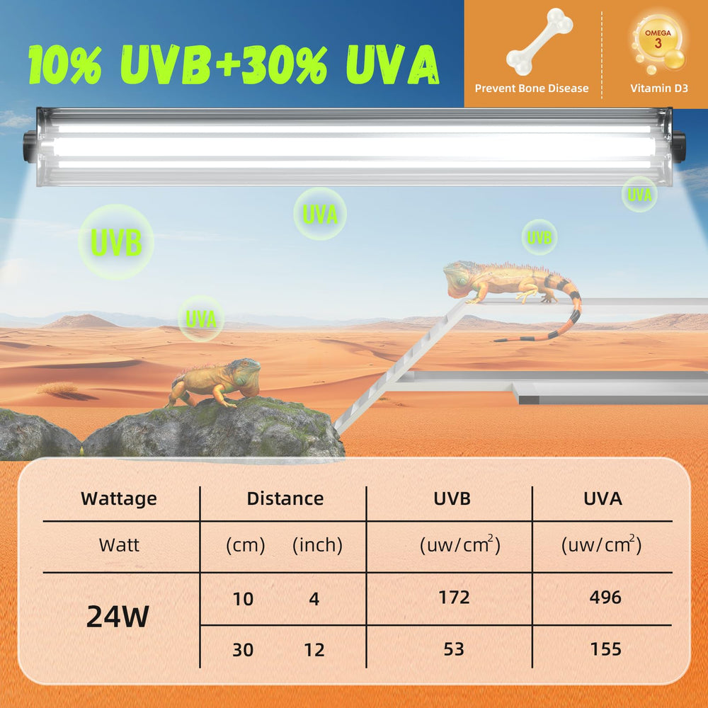 GlowUp desert-dwelling lizard setup shows immersive UVB/UVA spectrum for calcium support.