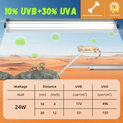 GlowUp desert-dwelling lizard setup shows immersive UVB/UVA spectrum for calcium support.