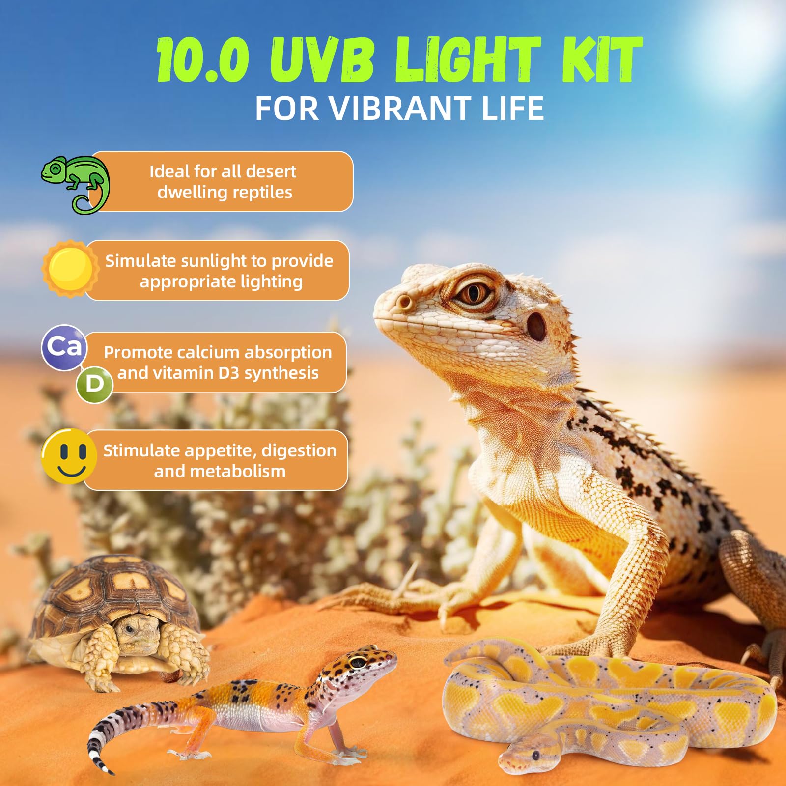 GlowUp T5 UVB tube kit 22.7in fixture delivers steady UVB exposure.