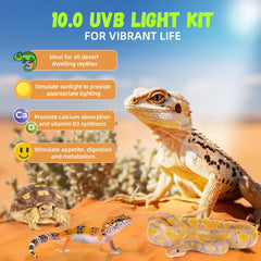 GlowUp T5 UVB tube kit 22.7in fixture delivers steady UVB exposure.
