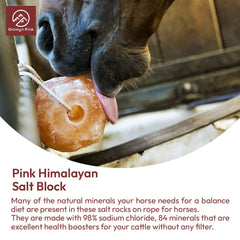 Glowyn Pink Himalayan Salt Lick close-up crystals highlight rich minerals for a balanced diet.
