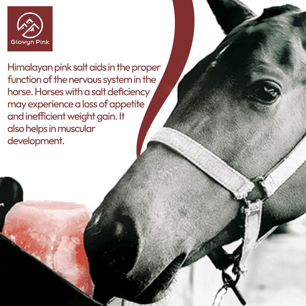 Glowyn Pink Himalayan Salt Lick on rope near water enhances horse hydration opportunities.