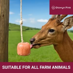 Glowyn Pink Himalayan salt with 84 minerals on rope, natural mineral supplement for livestock health.