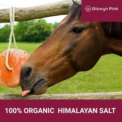 Glowyn Pink salt block on rope closeup, premium texture reduces breakage and extends shelf life.